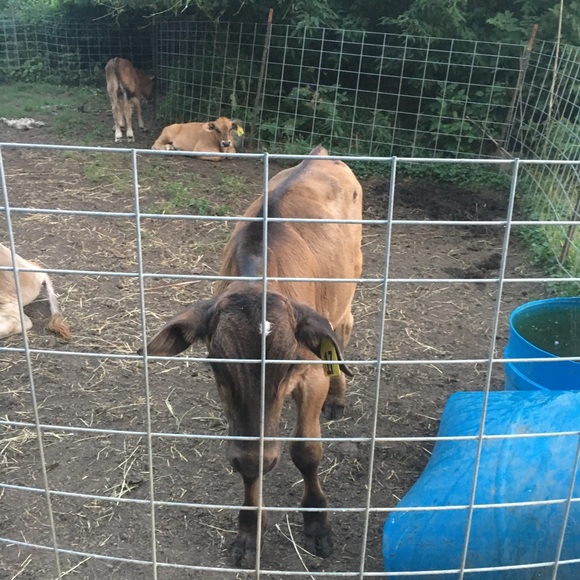 Meet your Posher, Darrell - Picture 1 of 1